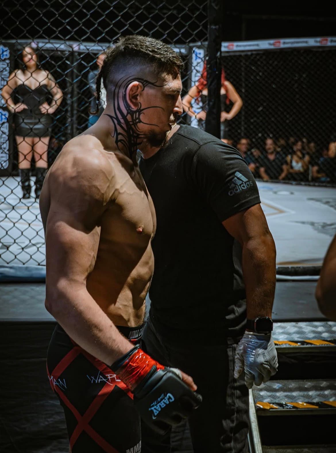 Pelea contra D. Silva
